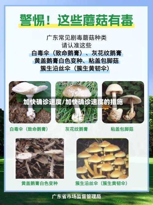 加快确诊速度/加快确诊速度的措施