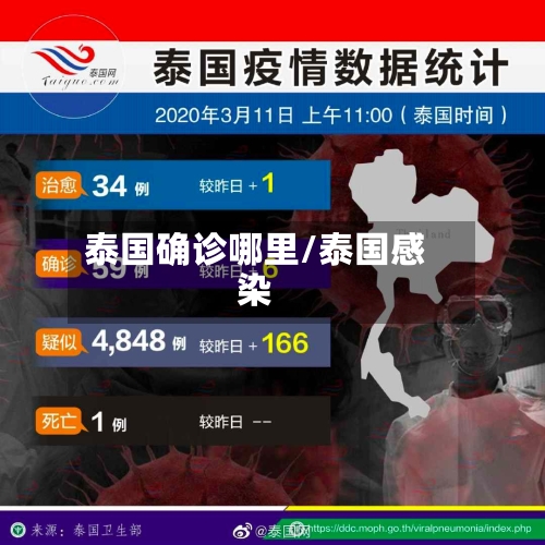 泰国确诊哪里/泰国感染