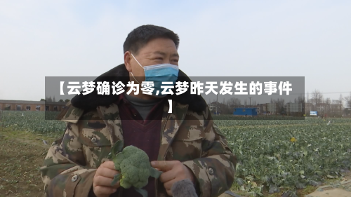 【云梦确诊为零,云梦昨天发生的事件】-第3张图片