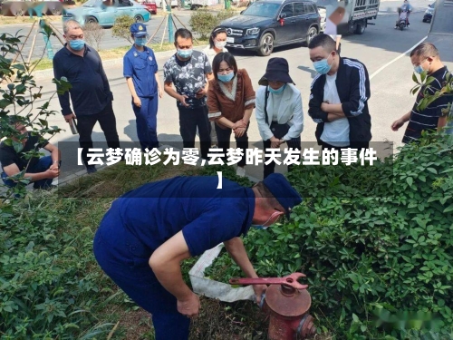 【云梦确诊为零,云梦昨天发生的事件】-第2张图片
