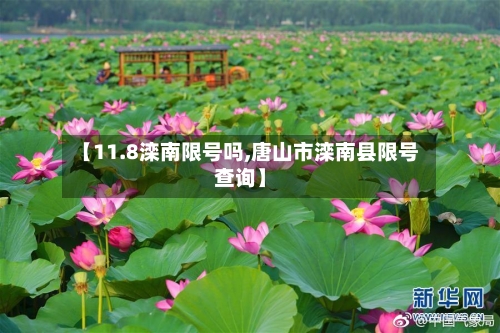 【11.8滦南限号吗,唐山市滦南县限号查询】-第2张图片