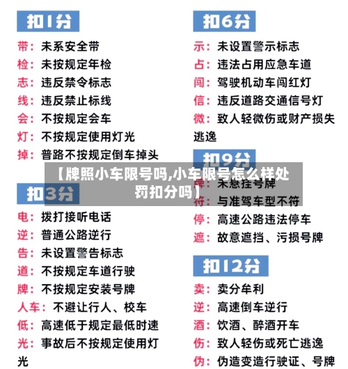 【牌照小车限号吗,小车限号怎么样处罚扣分吗】-第2张图片