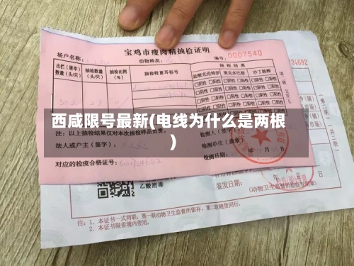西咸限号最新(电线为什么是两根)