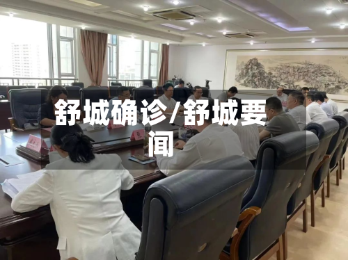 舒城确诊/舒城要闻-第2张图片