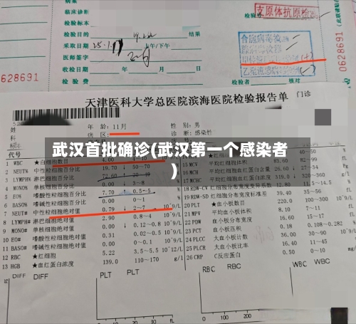 武汉首批确诊(武汉第一个感染者)-第2张图片