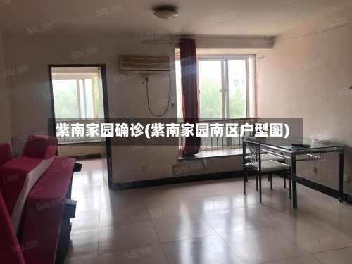紫南家园确诊(紫南家园南区户型图)-第3张图片