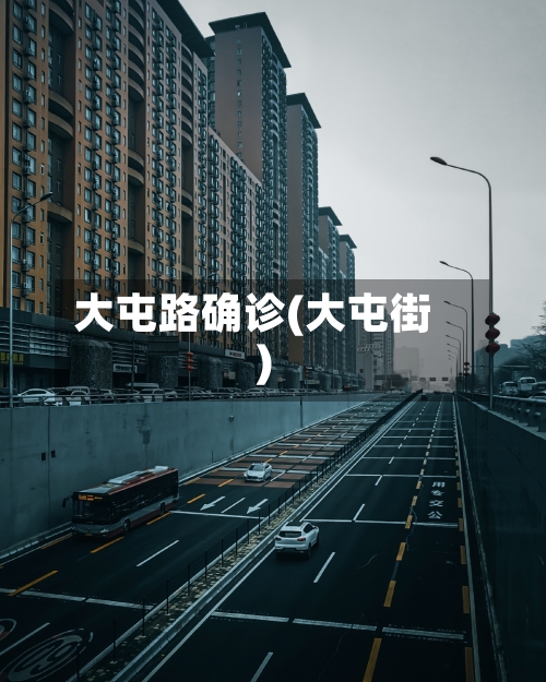 大屯路确诊(大屯街)
