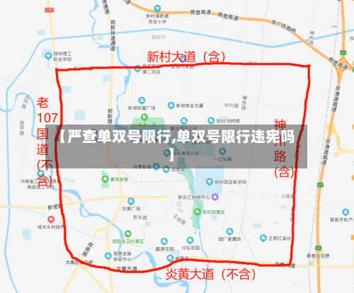 【严查单双号限行,单双号限行违宪吗】-第2张图片