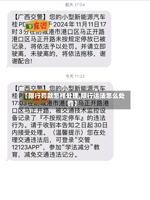 【限行罚款怎样处理,限行违法怎么处罚】-第2张图片