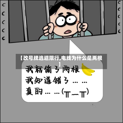 【改号牌逃避限行,电线为什么是两根】