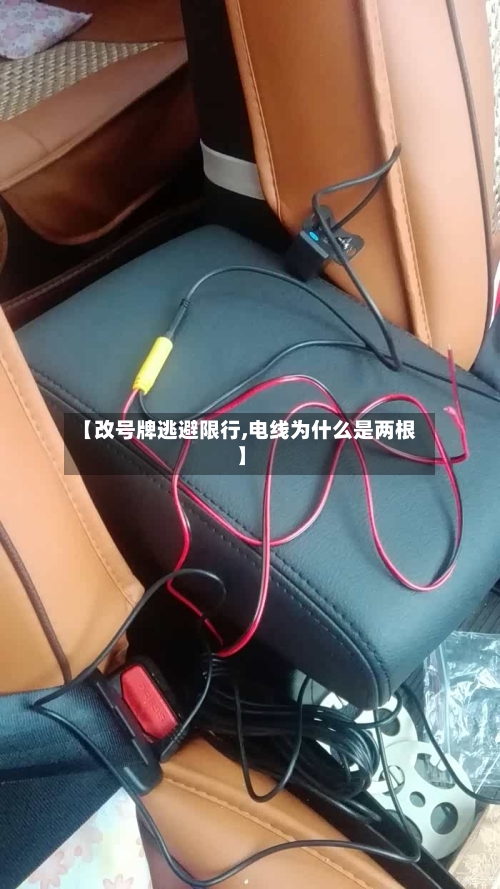 【改号牌逃避限行,电线为什么是两根】-第2张图片