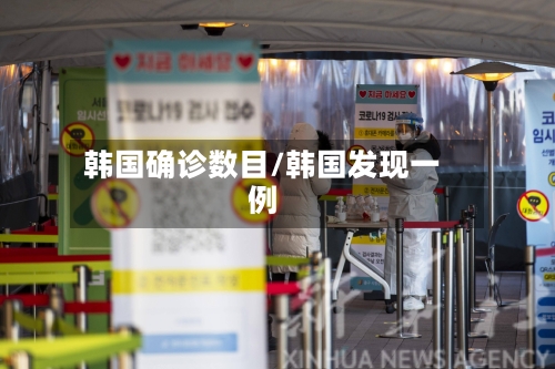 韩国确诊数目/韩国发现一例