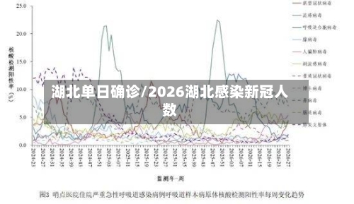 湖北单日确诊/2026湖北感染新冠人数-第3张图片