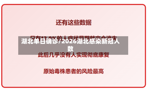 湖北单日确诊/2026湖北感染新冠人数-第2张图片