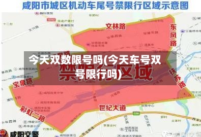 今天双数限号吗(今天车号双号限行吗)