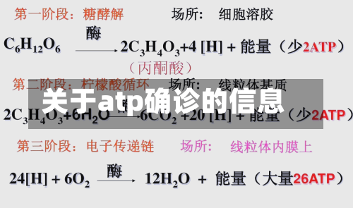 关于atp确诊的信息-第2张图片