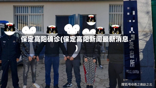 保定高阳确诊(保定高阳新闻最新消息)