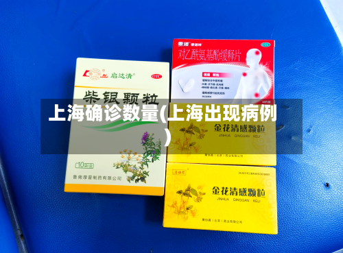 上海确诊数量(上海出现病例)-第2张图片