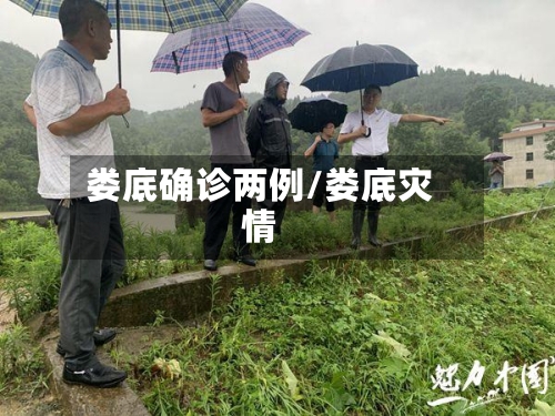 娄底确诊两例/娄底灾情-第2张图片