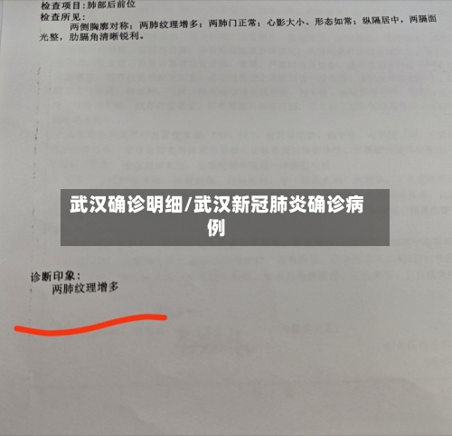 武汉确诊明细/武汉新冠肺炎确诊病例-第2张图片