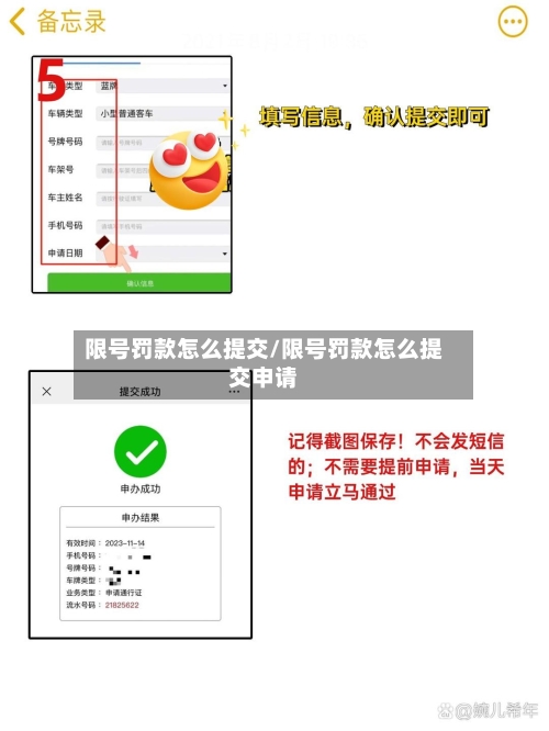 限号罚款怎么提交/限号罚款怎么提交申请-第3张图片