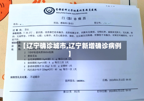 【辽宁确诊城市,辽宁新增确诊病例】-第3张图片