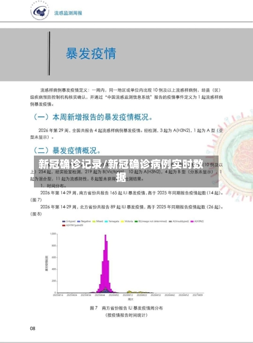 新冠确诊记录/新冠确诊病例实时数据-第3张图片