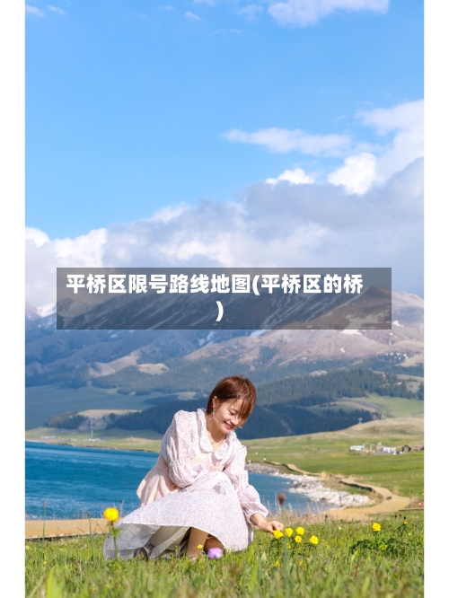 平桥区限号路线地图(平桥区的桥)-第2张图片