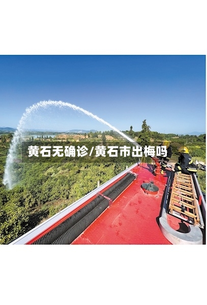 黄石无确诊/黄石市出梅吗