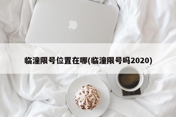 临潼限号位置在哪(临潼限号吗2020)
