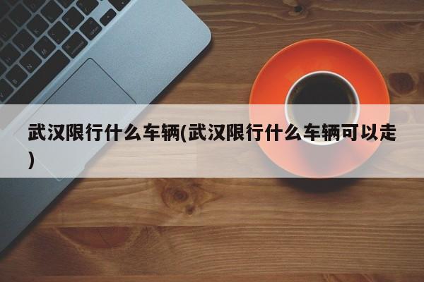 武汉限行什么车辆(武汉限行什么车辆可以走)