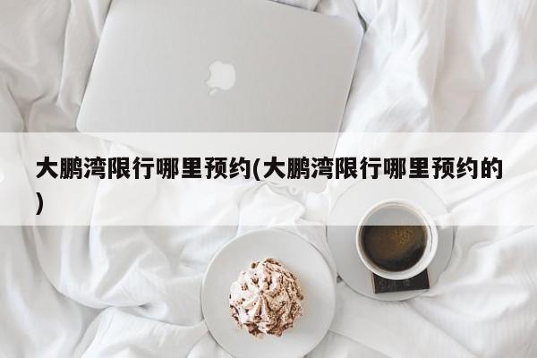 大鹏湾限行哪里预约(大鹏湾限行哪里预约的)